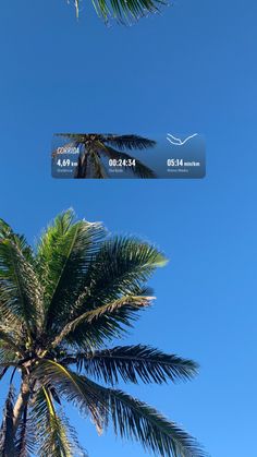 two palm trees are shown against the blue sky