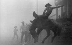 a man riding on the back of a horse in the middle of a foggy field