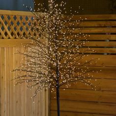 a lighted tree in front of a wooden fence