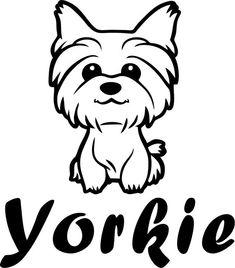 the yorkie dog is sitting down with its head turned to look like it's smiling