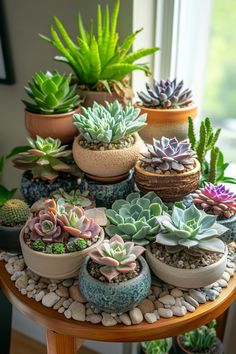 there are many succulents in the potted planters on this table