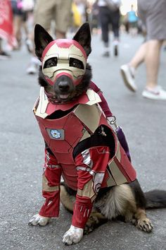 a dog dressed up in a costume sitting on the ground with people walking behind him