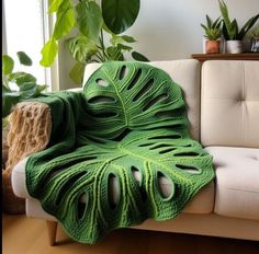 a couch with a green blanket on top of it next to a potted plant