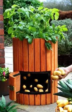 a wooden planter filled with lots of green plants