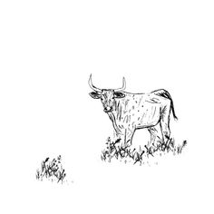 a black and white drawing of a bull standing in the middle of a grassy field