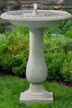 a bird bath sitting on top of a lush green field