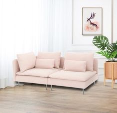 a living room with a pink couch and potted plant on the floor next to it