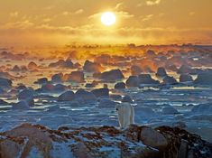 the sun is setting over an icy landscape with rocks and ice in the foreground