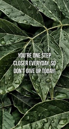 the words you're one step closer everyday so don't give up today