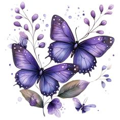 two purple butterflies with green leaves and watercolor paint