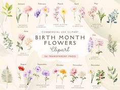 the birth month flowers clipart is shown in different colors and sizes, including pinks,