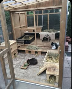 Rabbits Cute | Animal Rabbit | Cute Bunny Pics | Rabbit | Hutch Outdoor | Rabbit Cage Ideas Outdoor | White, Black, Pink, Brown, Dark | Adorable Bunnies | Keeping Rabbits Safe and Healthy with Outdoor Hutches | Rabbit Farm Bunny Apartment