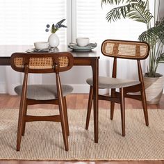 two chairs sitting at a table in front of a potted plant