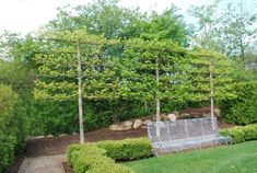 a park bench sitting in the middle of a garden