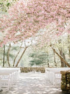 an outdoor ceremony with white chairs and pink flowers on the trees in front of them