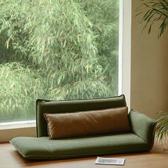 a green couch sitting in front of a window next to a potted bamboo plant