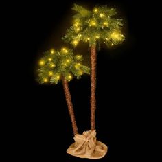 two palm trees with lights on them are in the shape of sacks and burlocks