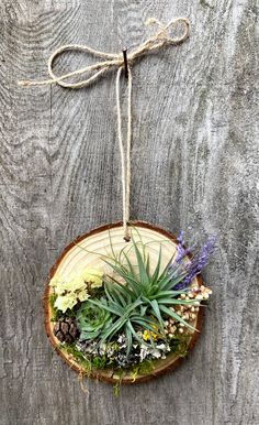 an air plant hanging on a wood slice with rope around it's edge and some plants in the center