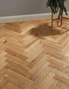 a wooden floor with a potted plant on it