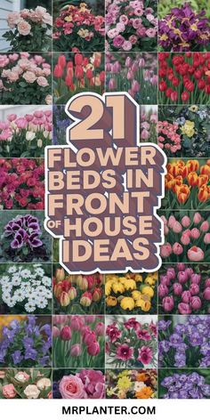 A beautiful front yard showcasing one of the 21 flower beds in front of house ideas with vibrant tulips and elegant roses. Colorful Flower Bed Ideas, When To Plant Flower Bulbs, Tulip Bed Ideas, Tulip Landscaping Front Yards, Florida Flower Gardens, Tulip Garden Ideas Front Yards, Driveway Flower Bed Ideas