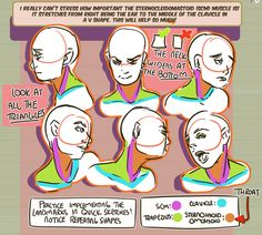 the stages of facial expression in an animated character's head and neck, with different expressions