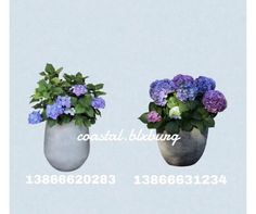 there are two vases with flowers in them on the same side, one has purple and white flowers