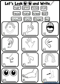 an activity sheet for kids to learn how to write and draw hands