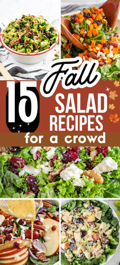 Fall salad photo collage with text overlay. Fall Salads For A Crowd, Easy Fall Salad, Salad Recipes For A Crowd, Fall Salad Recipes, Harvest Salad Recipes, Roasted Pear Salad, Autumn Gathering, Fall Salads, Healthy Fall Dinner