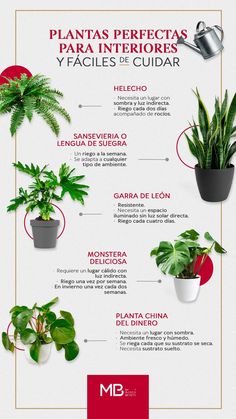 a poster with different types of house plants