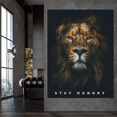 a lion is shown on the wall next to a large window with an inscription stay hungry