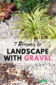 landscaping with gravel and plants in the background