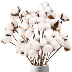 cotton flowers in a white vase on a white background