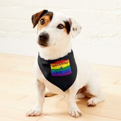 a white dog wearing a black bandana with the words buttering is cape club on it