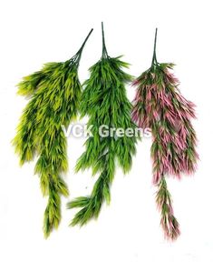 three green and pink flowers are hanging from the stems