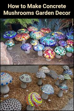 several different types of mushrooms are shown in this collage with the words how to make concrete mushrooms