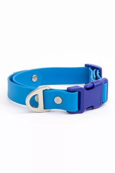 a blue and purple dog collar on a white background