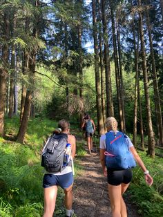 three people hiking in the woods on a trail