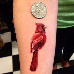 a small red bird on the arm next to a quarter dollar coin and an instagram post