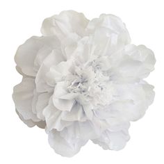 PRICES MAY VARY. These beautiful Pastel Chrysanth Flower decorations are perfect for weddings, birthday parties, christenings, nurseries, bedrooms, gazeboos, marquees, churches, fashionshows, even photo shoots and shop displays! Whether suspended from the ceiling, strung on a garland or scattered around a room, paper flowers add that extra touch to your celebration and are perfect for any event making them ideal for weddings and events abroad. Large size:approx 20 inch (49cm)each .Ships flat, Pa Outdoor Events Decor, Wedding Decor Floral, Giant Paper Flower, Tissue Pom Poms, Paper Peonies, Bridal Shower Centerpieces, Wedding Proposals, Paper Flower Wall, Tissue Paper Flowers