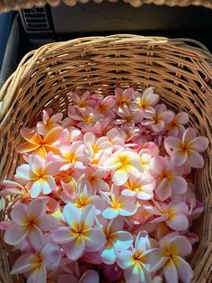 pink and yellow flowers in a wicker basket on the back seat of a car