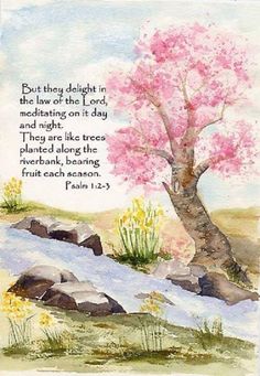 a watercolor painting of a pink tree with a bible verse on the bottom right corner