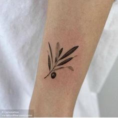 a small black and white olive branch tattoo on the arm