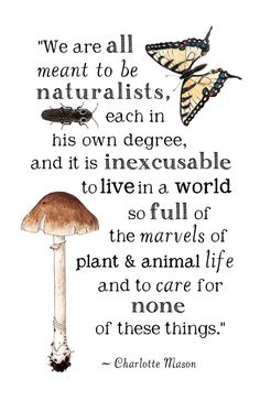 a quote from charlotte mason with two butterflies on top of a mushroom and the words we are all meant to be naturalists, each in his own degree