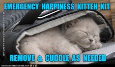 a cat that is laying down in a bag with the caption emergency happiness kitteh kitt remove & cuddle as needed