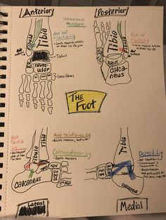 a hand drawn diagram shows the different parts of foot and ankle reflex points in various positions