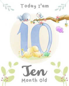 a ten month old birthday card with birds on a tree branch and the number ten