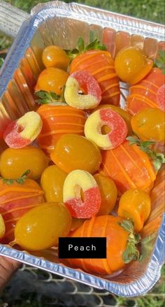 a plastic container filled with lots of fruit on top of green grass next to a person