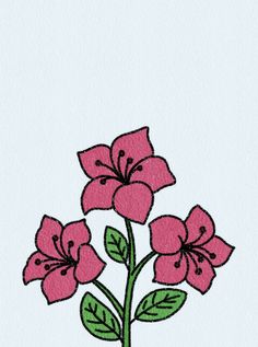 a pink flower with green leaves is shown on a white paper background, and the image has been drawn by hand