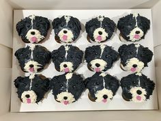 twelve cupcakes with black and white dog faces on them in a cardboard box