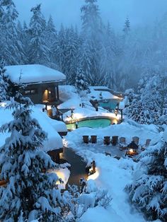 an outdoor hot tub surrounded by snow covered trees and evergreens in the background at night